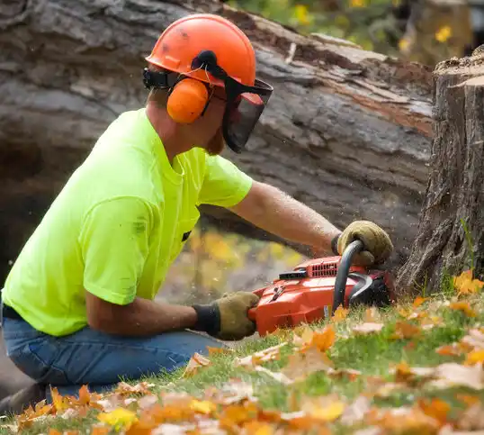 tree services Laughlin